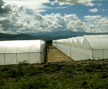 Invernaderos Inverca